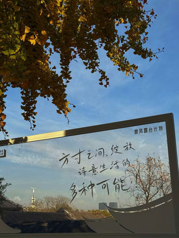 百年銀杏樹下的下午茶 百年銀杏樹下的下午茶