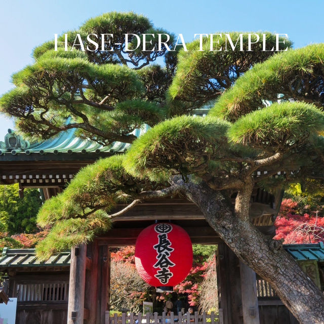 🌸 รีวิว: วัดฮาเซะ-เดระ (Hase-dera Temple) 