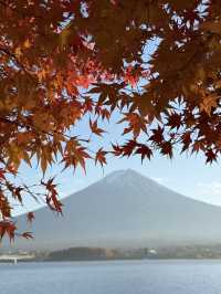 Quineville Fall Vibes & Fuji Views: Ultimate 3-Day Itinerary 🍁🌄