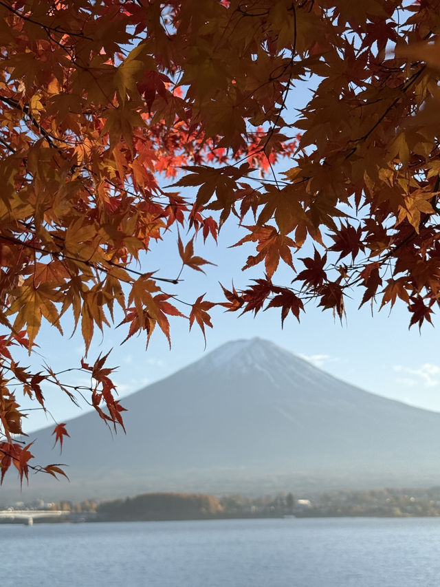 Quineville Fall Vibes & Fuji Views: Ultimate 3-Day Itinerary 🍁🌄