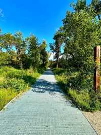 🌿 St. Patrick’s Island – Calgary’s Urban Nature Escape