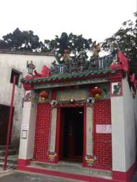 Why Hong Kong Is My Ultimate Foodie Paradise 🇭🇰🔥