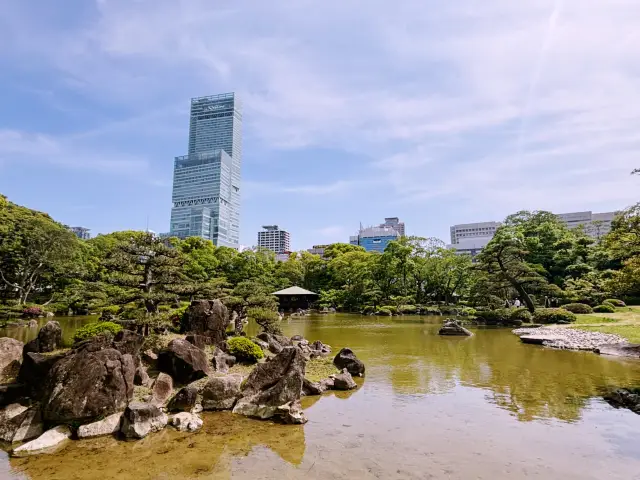 慶澤園的陽光湖畔 🌞🏞️