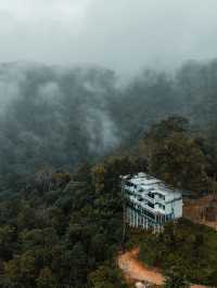 " ป่าเหนือหมอก ม่อนเงาะ Pa Nua Mok " 