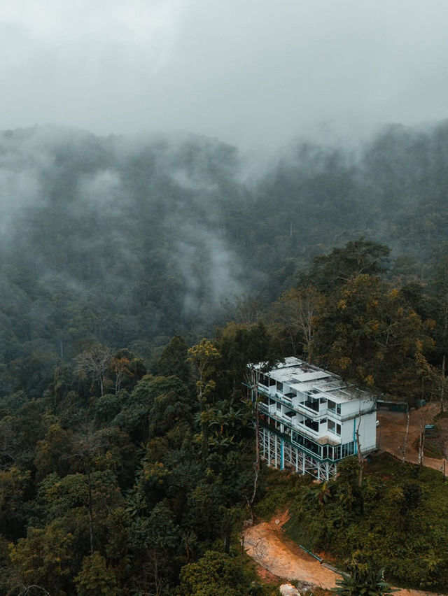 " ป่าเหนือหมอก ม่อนเงาะ Pa Nua Mok " 