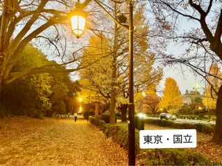 เส้นทางเดินที่สวยงามในเมืองคุนิทาจิ