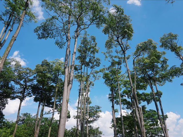 A Breath of Fresh Air: Finding Tranquility in Putrajaya’s Wetland Park A Breath of Fresh Air: Finding Tranquility in Putrajaya’s Wetland Park