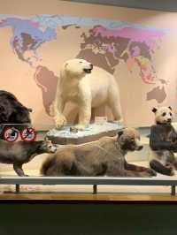 Shanghai Natural Museum 🐒🫎🦕🦖🦑🐋