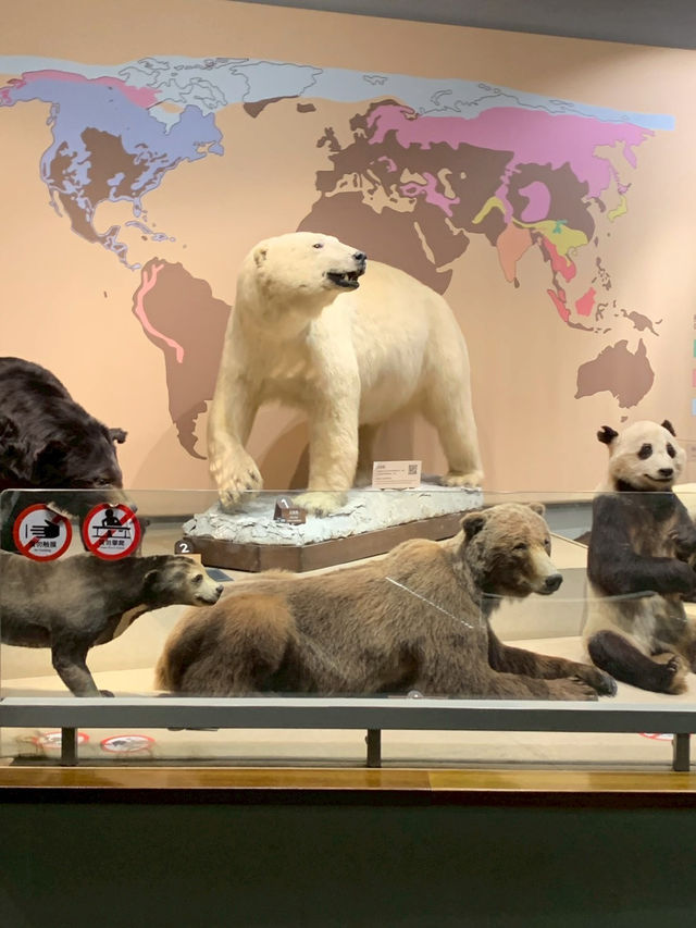 Shanghai Natural Museum 🐒🫎🦕🦖🦑🐋
