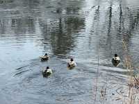 有許多重要文化遺產的公園，捷運站出站即達的美麗景點！