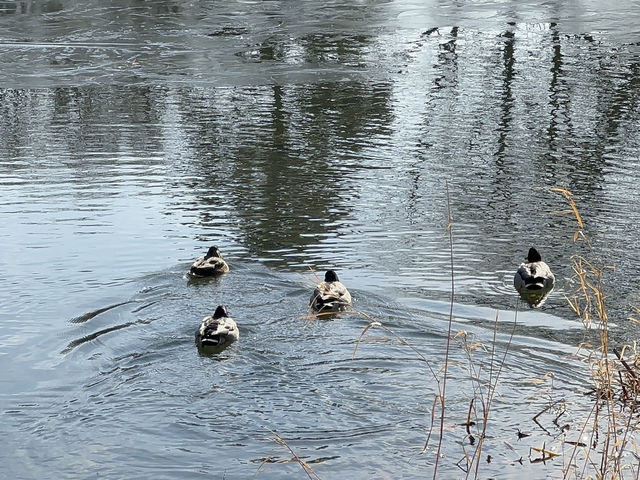 有許多重要文化遺產的公園，捷運站出站即達的美麗景點！