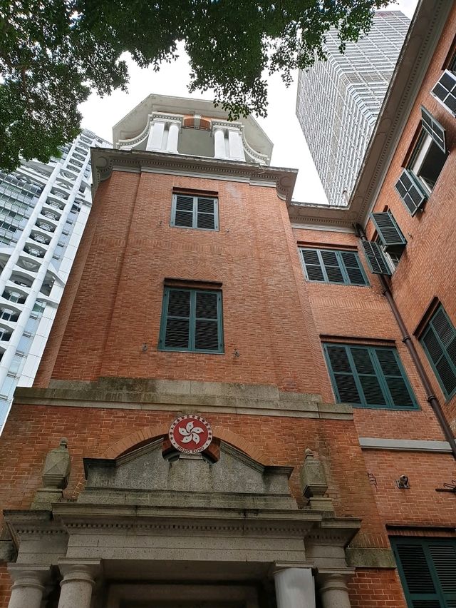 Why Hong Kong Is My Ultimate Foodie Paradise 🇭🇰🔥