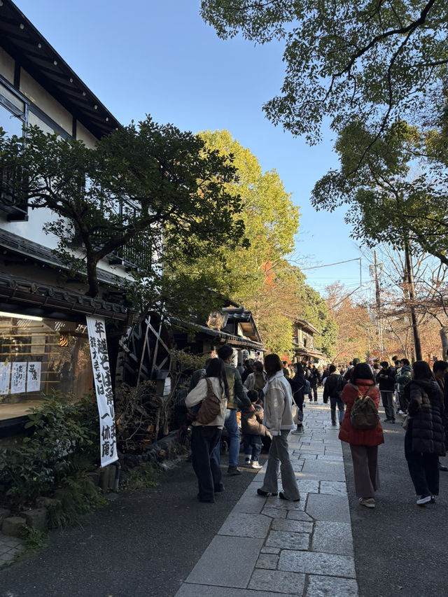 紅葉に包まれる癒しの古刹。深大寺で過ごす穏やかな時間 紅葉に包まれる癒しの古刹。深大寺で過ごす穏やかな時間