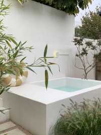 ์ ์ฃผ ์ฌํ ํต์ฌ ์ฝ์ฝ ๐ค ์์ ๋ง์ง ์นดํ ์ถ์ฒ