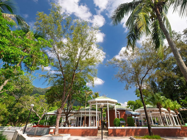 Where the Tide Carries Distant Hills