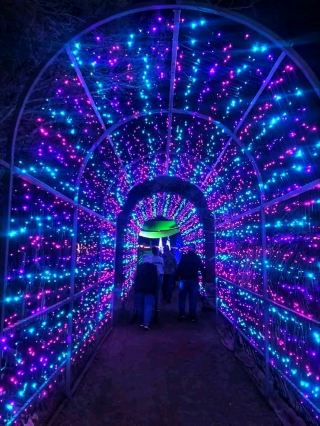 🌿 สวนพฤกษศาสตร์ทูซอน – โอเอซิสอันเงียบสงบในทะเลทราย