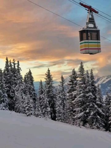 無盡的弧線與阿爾卑斯山的壯麗景色：豪瑟凱布林雕刻的完美之作