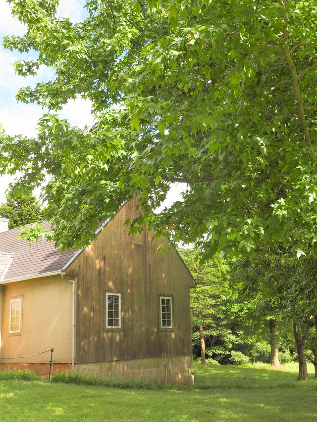 大自然満喫!春から秋にオススメの阿蘇の絶景スポット