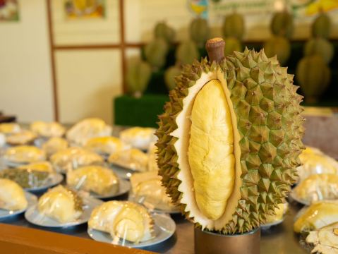 ドリアンビュッフェ2026が始まりました！ | Trip.com Ban Khai