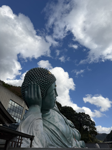 南蔵院水みくじ | Trip.com 篠栗町
