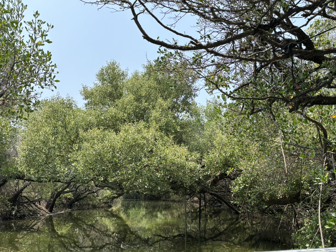 When visiting Tainan, one of the must-see attractions is the "Sicao Green Tunnel". Departing from downtown, you can take Bus No. 10 to the Sicao Ecological and Cultural Area.