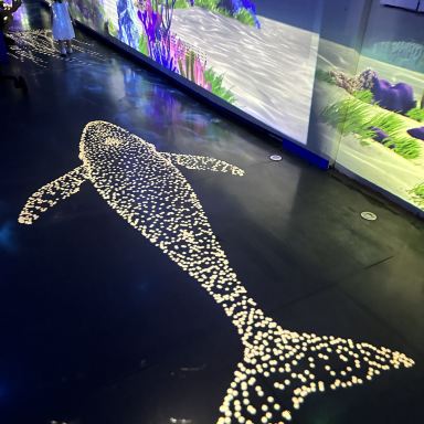 深センドリームオーシャンパーク没入型体験🌊 | Trip.com 深セン