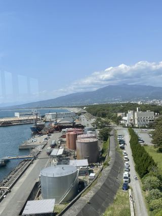 Fun for All Ages! Enjoy Great Food and Sightseeing at Numazu Port.