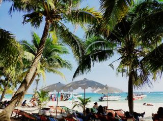  Whisper of Silver Sands 