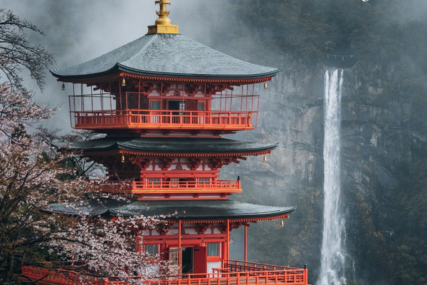 Japan Is Calling Again 🇯🇵❤️ | Trip.com Tokyo