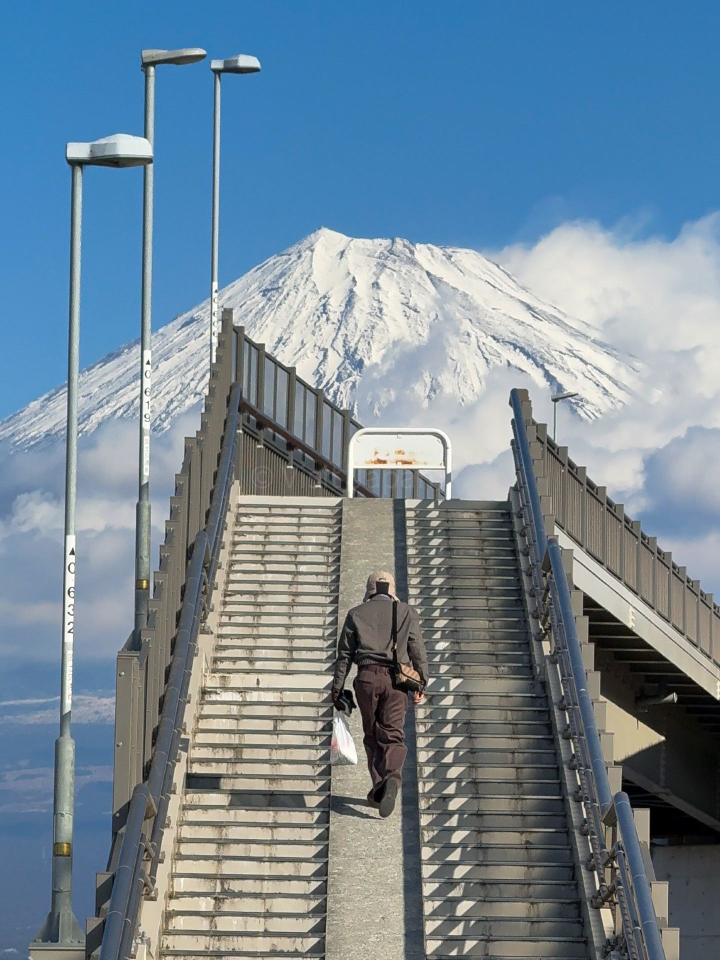 🗻 Have you ever been here? A photo spot that feels like you're touching Mount Fuji @ Fujisan Yume No Ōhashi 🇯🇵📸