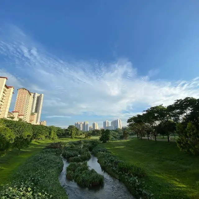 Morning walk in Bishan/Ang Mo Kio Park