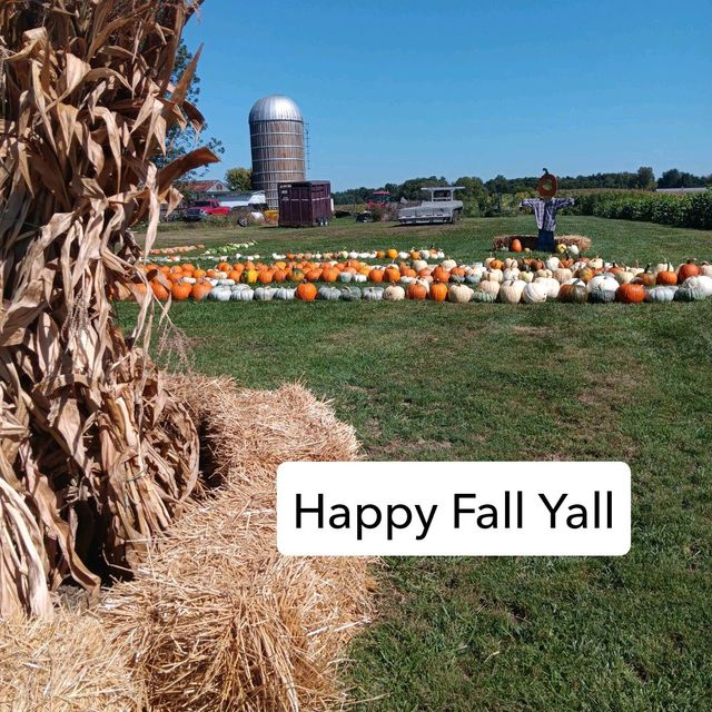 Happy Fall Ya'll! 