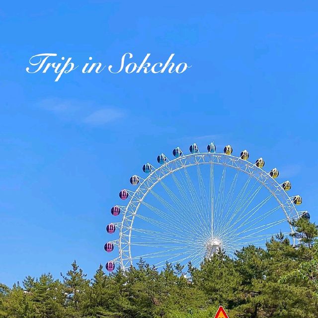 속초 리얼 핫플레이스, 속초아이 대관람차!