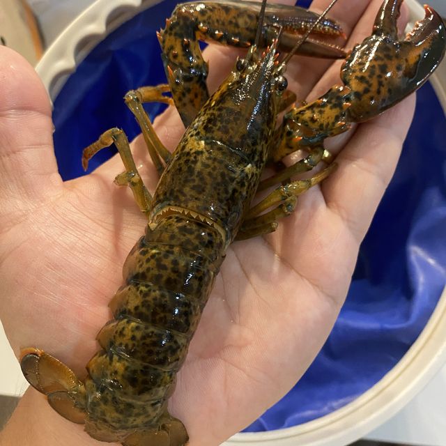 赶海