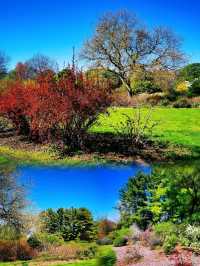 Longenecker horticultural Gardene(朗格內克園藝花園)