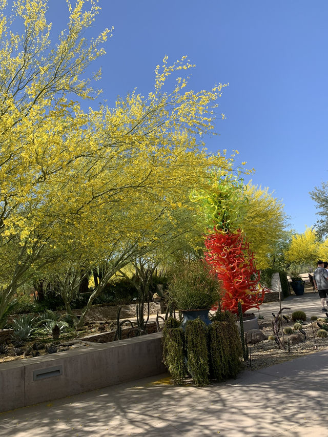 鳳凰城，不能錯過的沙漠植物園
