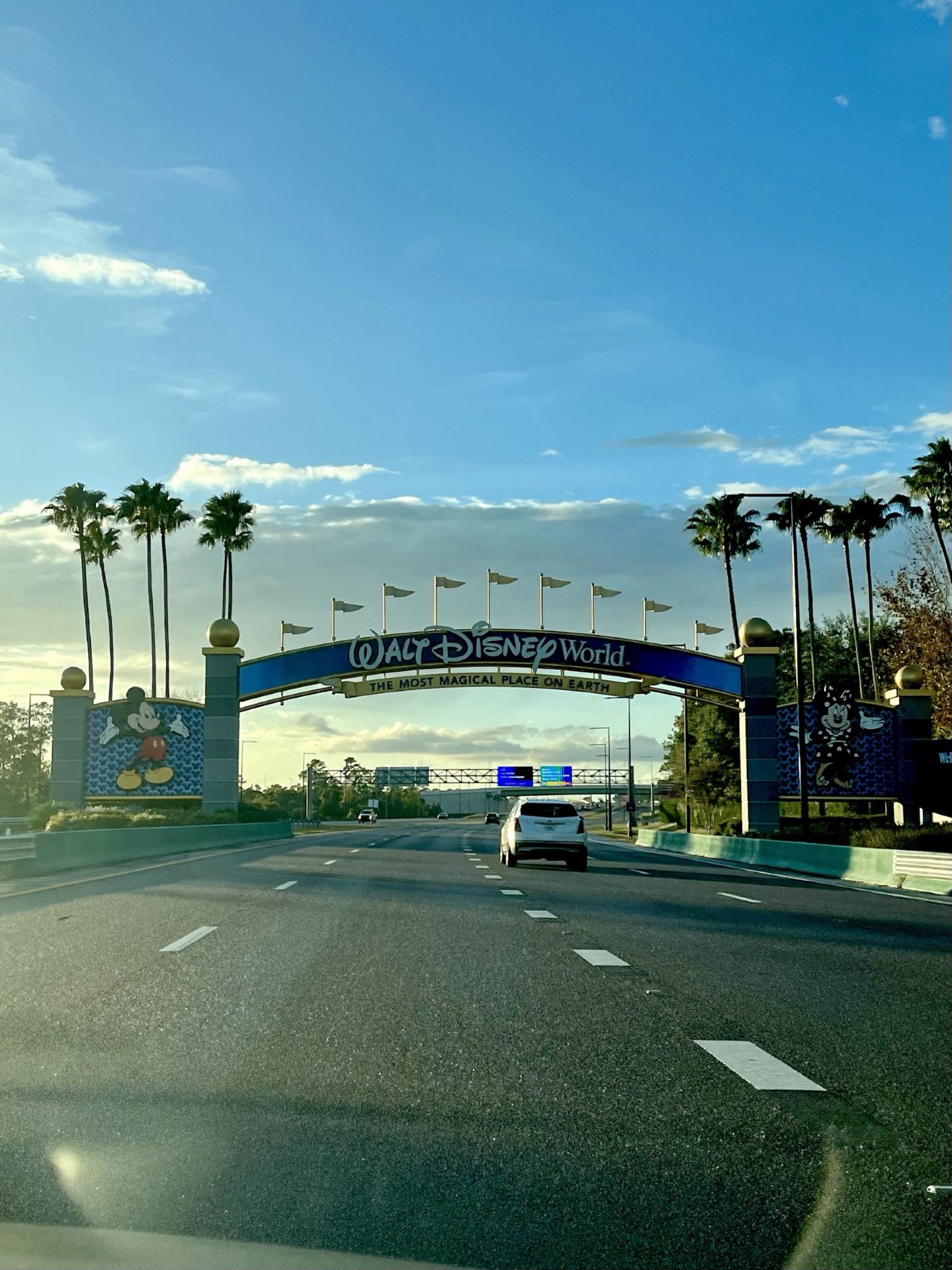 Disney World 