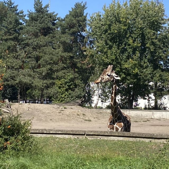 🇵🇱 Best family attraction: Wroclaw zoo 🦒