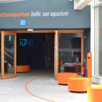 Ozeaneum…อควอเรียมสุดปังในเยอรมันเหนือ