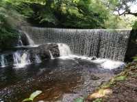 The superb Calder Mill Waterfall 🇬🇧