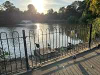 Clissold Park London 🇬🇧