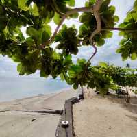 Daanbantayan retreat