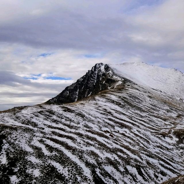 Christmas In Summer | Queenstown 