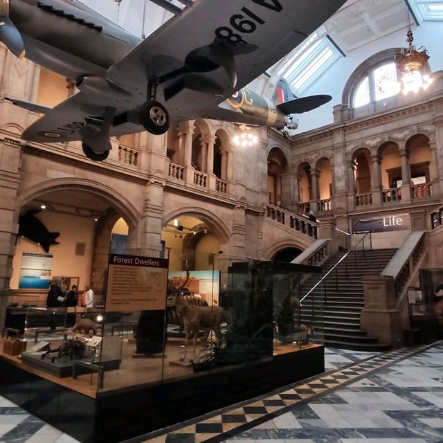 Kelvingrove museum Glasgow 