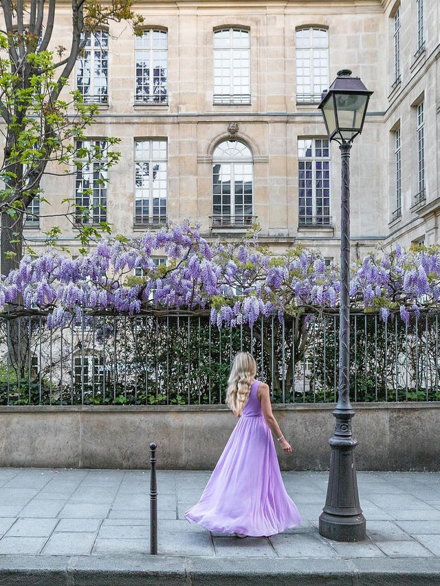 💗💐 파리 🌸🌹