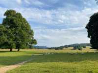 Chatsworth House: A Day with the Sheep 🐑🏰