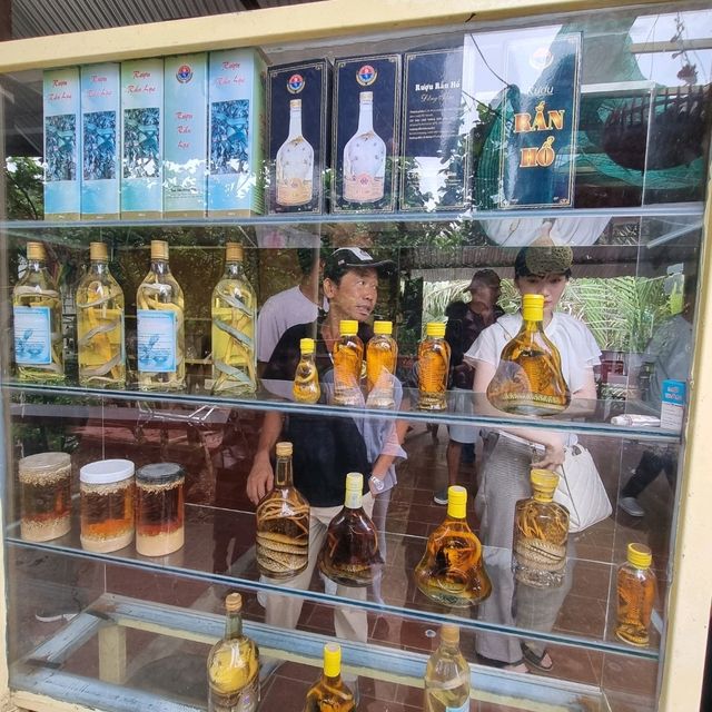 벌꿀 체험 현장 속으로 ~