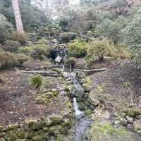 A Welsh wonderland 
