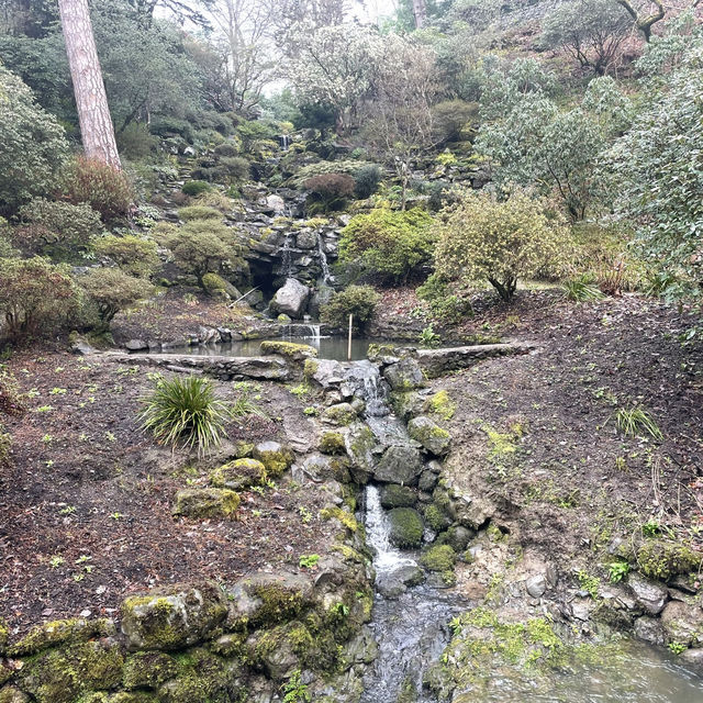A Welsh wonderland 