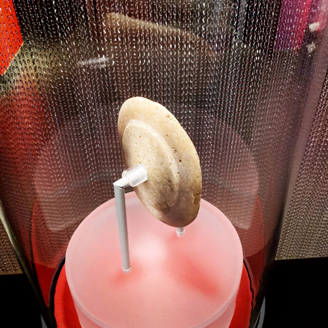 화폐 대신에 바꿨던 조개껍질